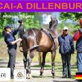 CAI-A Dillenburg